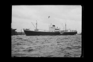 Belmonte ex Wulfsbrook (1954), Frachtschiff, Reederei-Union AG, Kiel, Bau-Nr. 445