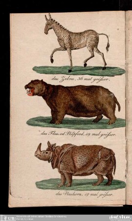 Der Thiergarten, ein naturhistorisches Bilder- u. Lesebuch der merkwüdigsten vierfüßigen Thieren : getreu nach d. Natur im verjüngten Maasstab abgebildet z. nützl. Unterhaltung f. d. Jugend