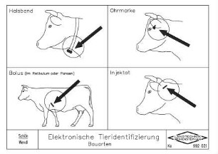 Elektronische Tieridentifizierung, Bauarten