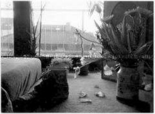 Blick in ein Zimmer, mit Blumenvase und Schuh auf dem Boden (Altersgruppe 14-17)