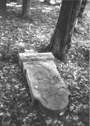 Grabstein 592 (Index: 99900715) Material: Sandstein Zustand: Stein liegt, Schriftseite nicht sichtbar Maße HxBxT: 124x49x15 cm Beschreibung: aufgesockelte Stele mit Konvexbogenabschluss, umgestürzt, liegt auf Schriftseite Besonderheit: vermutete Identifizierung nach Gräberverzeichnis: Grabstein 592