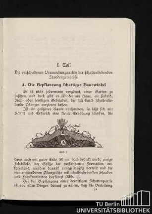A. Die Bepflanzung schattiger Hauswinkel