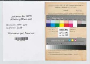 Entnazifizierung Emanuel Weisskoeppel, geb. 17.02.1913 (Finanzinspektor)