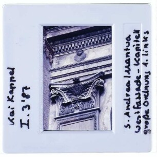 Mantua, S. Andrea : Detailansicht Westfassade 1. Pilaster v.l. Kapitell