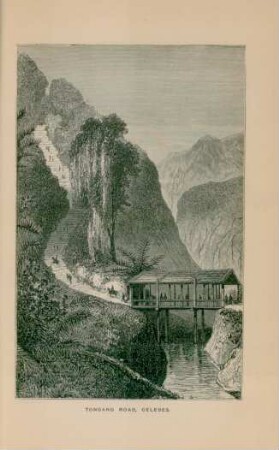 Tondano road, Celebes