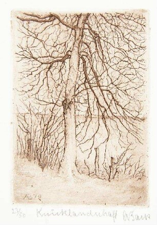 Knicklandschaft