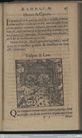Vulpes & Leo