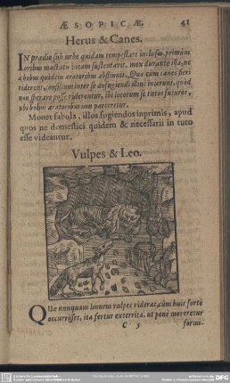 Vulpes & Leo