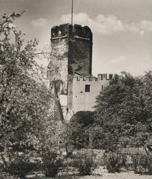 Lahnstein, OT Oberlahnstein. Ansicht der in der ersten Häfte des 13. Jh. auf einem steil hervorspringenden 164 m ü. NHN hohen Felsensporn über dem linken Lahnufer an der Lahnmündung erbauten Spornburg
