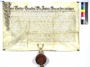 Lehensbrief von Joseph Wenzel von Fürstenberg für Johann Mayer, Amtsbürgermeister und Hospitalpfleger zu Giengen