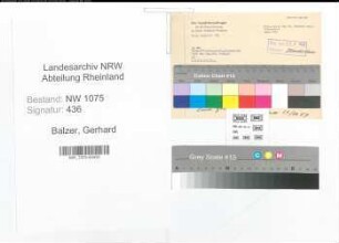Entnazifizierung Gerhard Balzer , geb. (Regierungsrat)