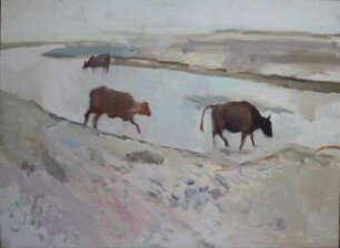 Die Furth Mongolei