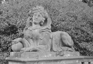 Sphinx