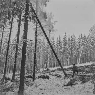 Rep. Forst Sohland : Waldarbeiter im Forst bei Sohland. Winteraufnahme