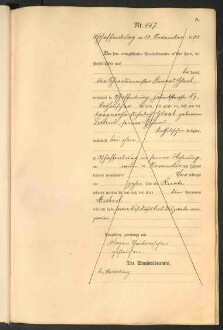 Standesamtsbuch der Stadt Aschaffenburg: Geburten 365/1900 - 184/1901