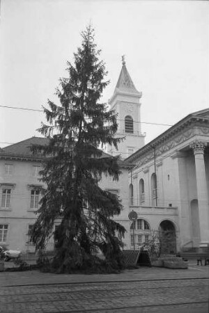 Aufstellung von Weihnachtsbäumen im Karlsruher Stadtgebiet