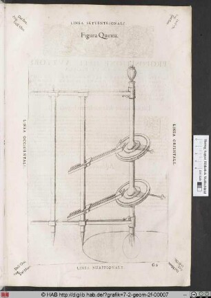 Figura Quinta