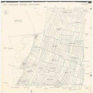 Landschaftsaufbauplanung Bellingen: Gemarkung Schliengen, Steinenstadt 1:1500