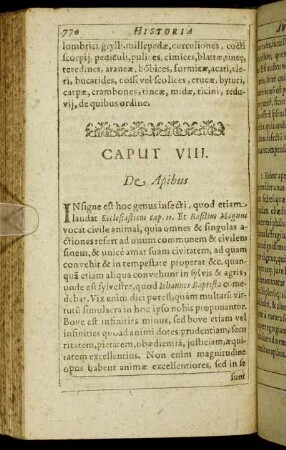 Caput VIII. De Apibus.