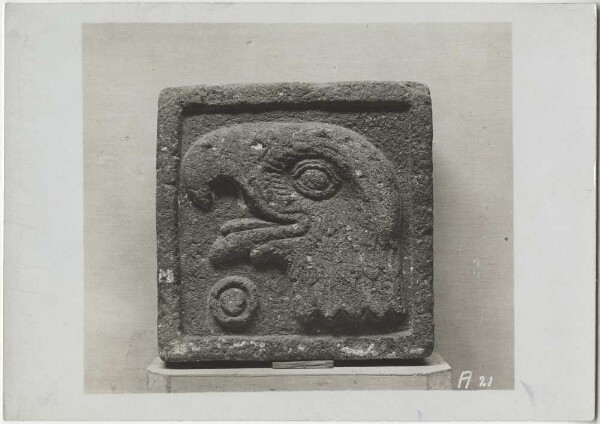 "Plaque de pierre (Tezontli) avec le signe du calendrier "Ce Cuauhtli" ("Un aigle"). 21/21 cm. Était à l'origine scellée dans le mur d'un bâtiment à Texcoco".