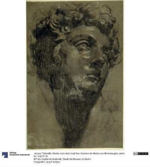Studie nach dem Kopf des Giuliano de' Medici von Michelangelo