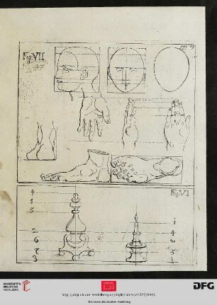 Fig: VII [Kopf, Hand, Fuß (Schemata, Proportionen)] Fig: VI [Leuchter (Proportionen)]