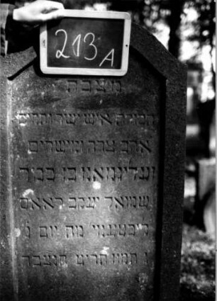 Grabstein 213 (Index: 100112183) Material: Sandstein Zustand: Rückseite abgeblättert Maße HxBxT: 147x60x13 cm Beschreibung: Stele, Konvexbogenabschluß, Schriftfeld eingetieft: Grabstein 213A