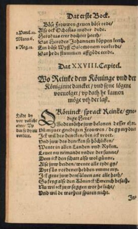 Dat XXVIII. Capitel.