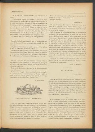 Soledades : Á Joaquín Castellanos