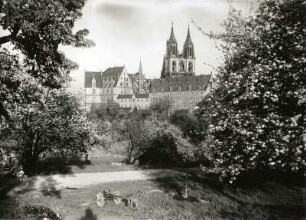 Meißen. Burgberg mit Albrechtsburg. Blick von Meisatal von Nordwesten