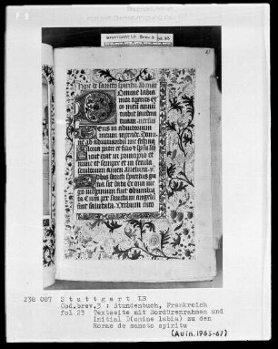 Stundenbuch — Initiale D (omine labia) und Vollbordüre, Folio 23recto
