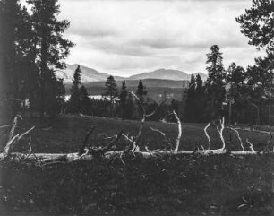 Yellowstone : Blick auf die Landschaft im Yellowstone-Nationalpark