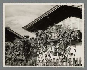 Berghütte in Auffach
