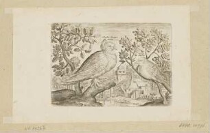 Taube und Fink, Blatt 23 der Folge "Vögel"