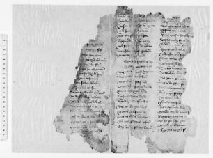 Tristan, ehem. Scheinfelder Fragment n - BSB Cgm 5249(75