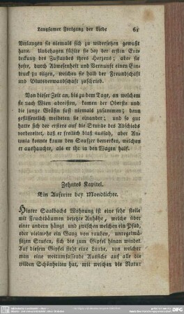 Zehntes Kapitel. Ein Auftritt bey Mondlichte