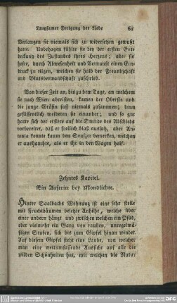Zehntes Kapitel. Ein Auftritt bey Mondlichte