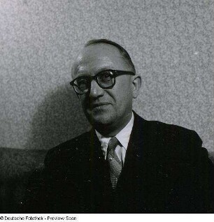 Portraitserie Walter Hallstein