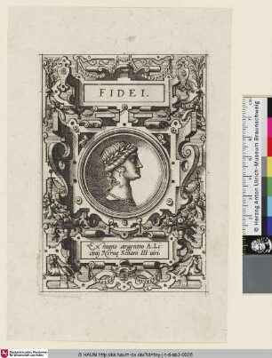 Fidei