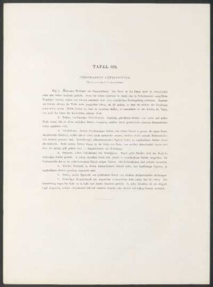 Tafel 69b. - Verschiedene Gewebestücke.