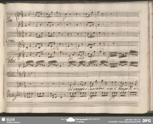 Cavatina: "Sù coraggio ò Cacciatori"
