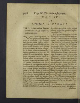 Cap. IV. De anima separata.