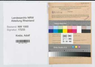 Entnazifizierung Adolf Krebs, geb. 26.07.1904 (Lehrer)