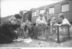 Ferienlagerzug der Reichsbahndirektion (RBD) Erfurt, Juli 1953