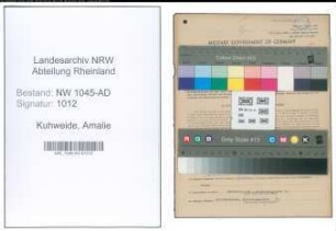 Entnazifizierung Amalie Kuhweide , geb. 23.11.1901 (Angestellte)