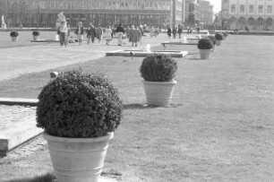 Frühlingstag am Karlsruher Schloss