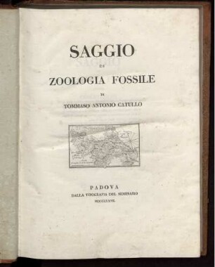 Saggio Di Zoologia Fossile