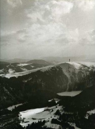 Seebuck und Feldsee