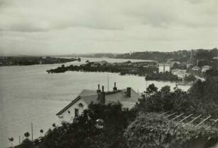 Dresden-Loschwitz. Hochwasser der Elbe 1890, von der Calberlastraße aus