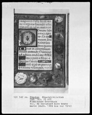 Flämisches Gebetbuch mit Kalender — Initiale D(omine) und Bordüre, Folio 49recto